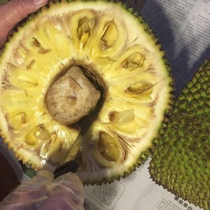 五年后带娃回归演艺圈 推荐视频