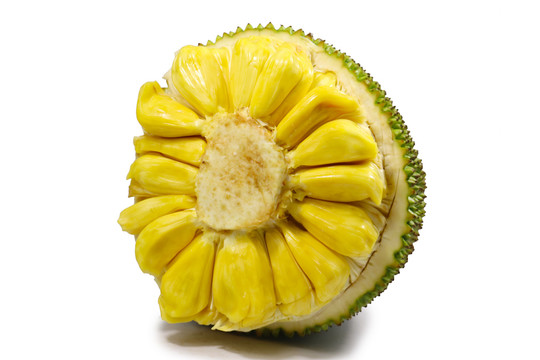 停战以后 推荐视频