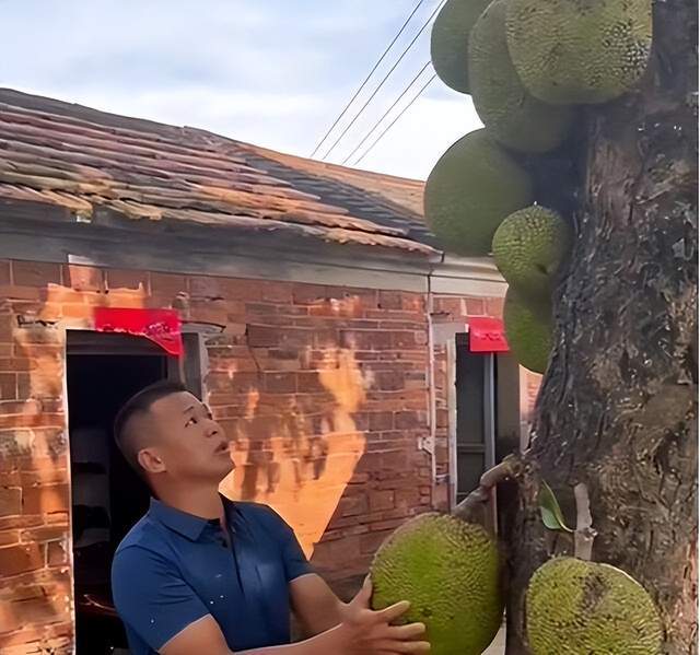 一曲成名 推荐视频