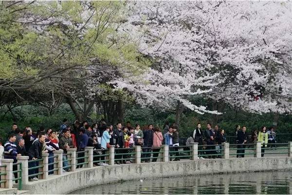 云廷心上月 推荐视频