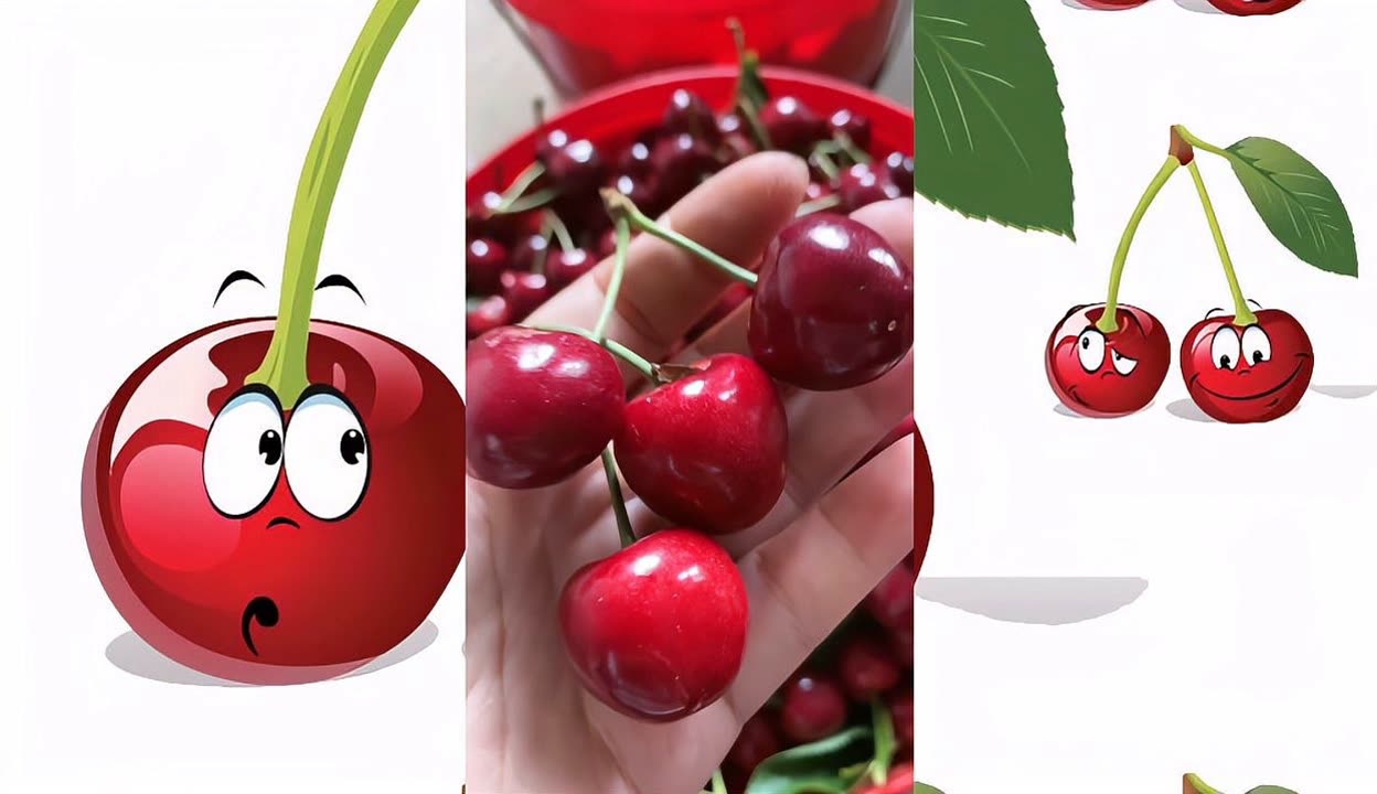 夜·店 推荐视频