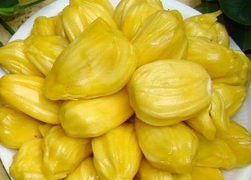 五仙诡事录 推荐视频