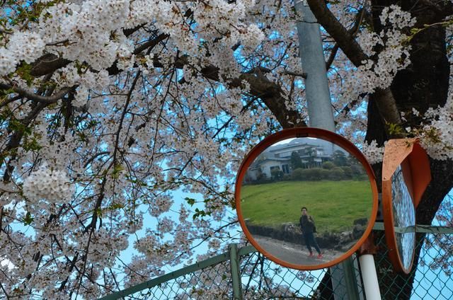 一骑当千第一季 推荐视频