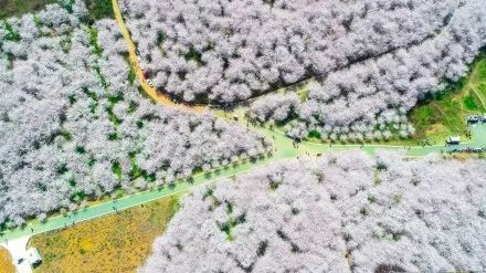 云深不知梦 推荐视频