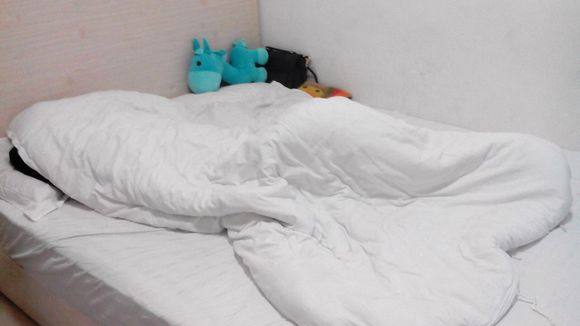 一路繁花第二季 推荐视频