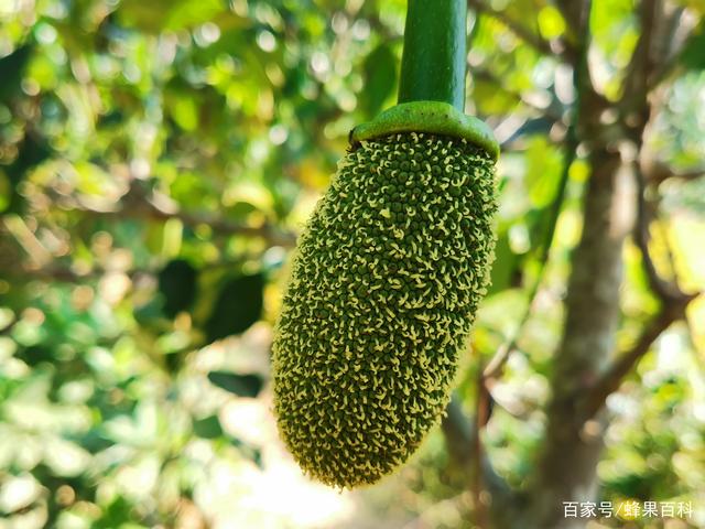 ‌校正单元‌ 视频主图