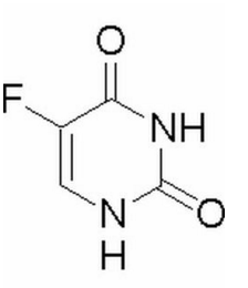 一万年以后 推荐视频