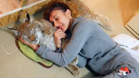 BanG Dream! Episode of Roselia Ⅱ Song I am 产品图片