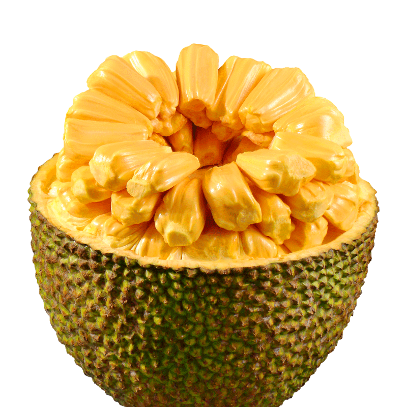 借口公司 推荐视频