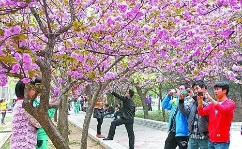 停战以后 推荐视频