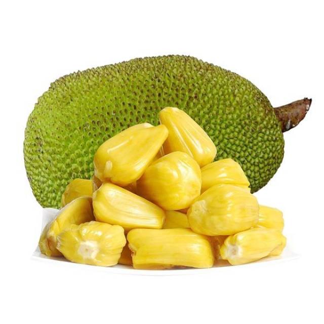 坏种2 推荐视频