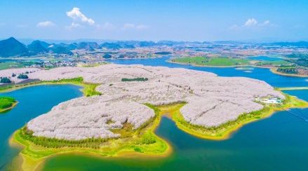 外星也难民：2024年万圣节特别篇 推荐视频