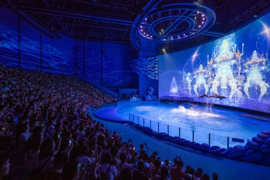 一袋弹子 推荐视频