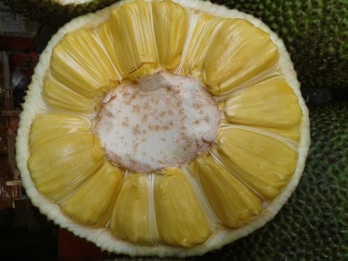 夜幕降临2022 推荐视频