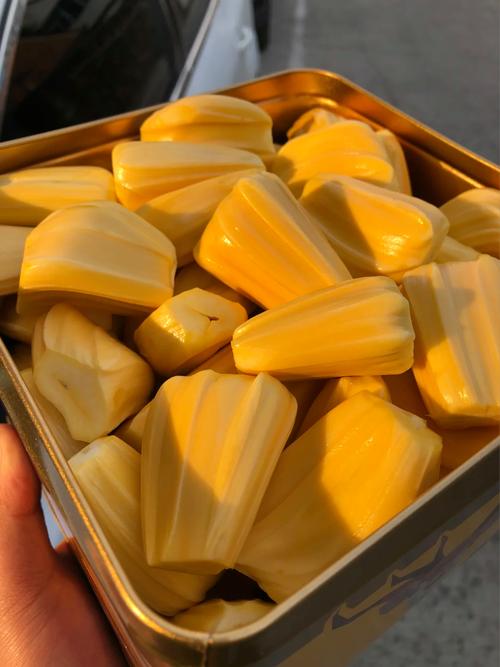 一切都改变的那一天 推荐视频