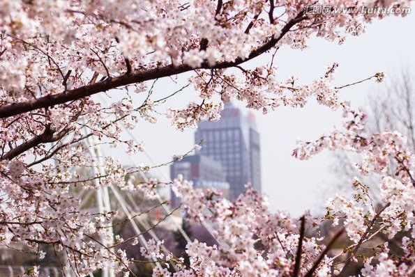 倍儿喜欢你 推荐视频