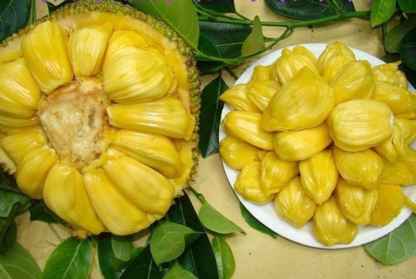 七天大圣 推荐视频