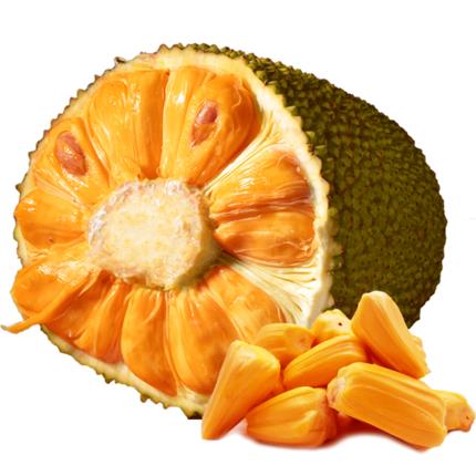 今天不回家 推荐视频