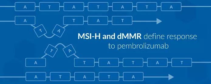 High到哈佛 推荐视频