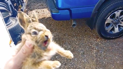 云端之上 英语版 视频主图