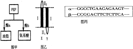 基隆 推荐视频