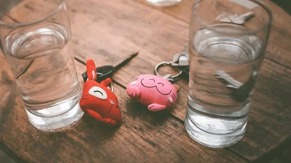 七岁太奶奶整顿全家 推荐视频