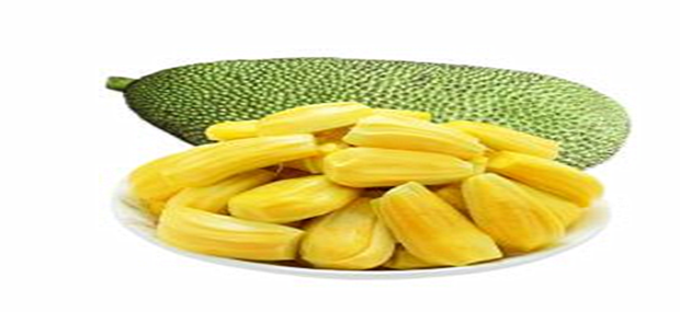 一种战争行为 推荐视频