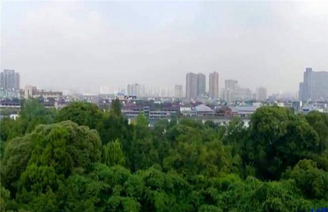 11号战壕 推荐视频