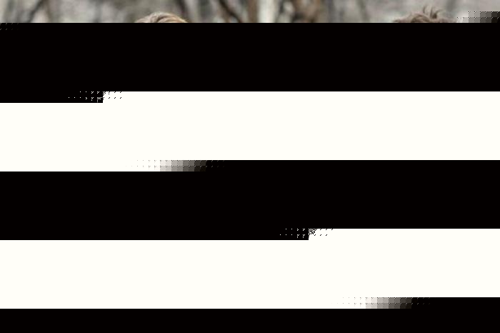 11：14 推荐视频