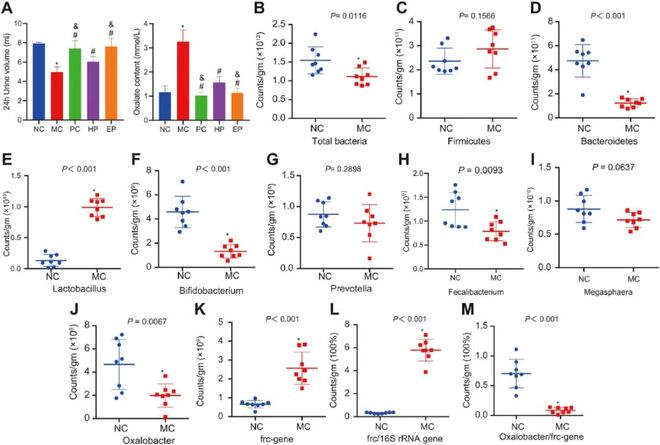 O记三合会档案 推荐视频