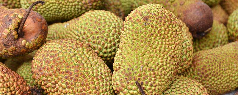 互换灵魂，奶奶带我乘风破浪 推荐视频