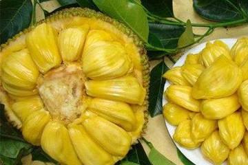 他们的边境梦 推荐视频