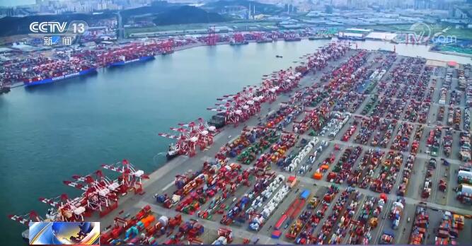 他人之痛 视频主图