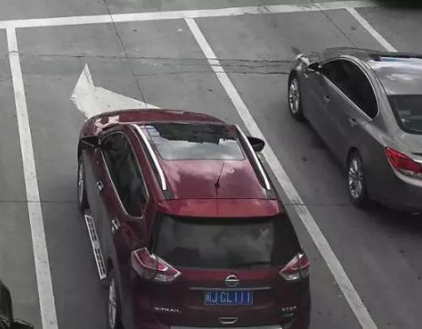 埃及王子 产品图片