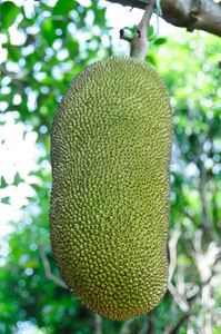 云舟照忘川 推荐视频