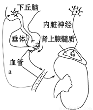 HELLO玄大人 推荐视频