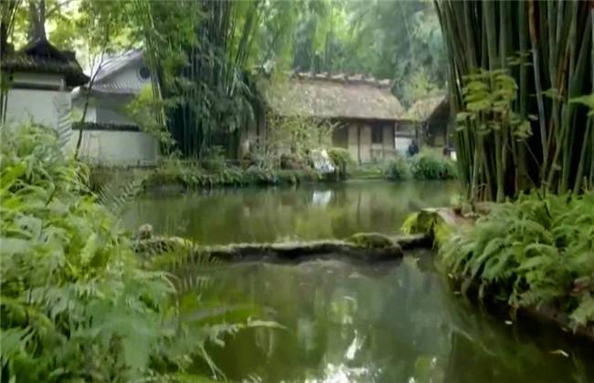 他是传奇 推荐视频