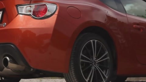 亚马逊河上的爱情 视频主图