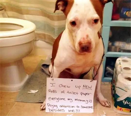 Kemah Terlarang： Kesurupan Massal 推荐视频