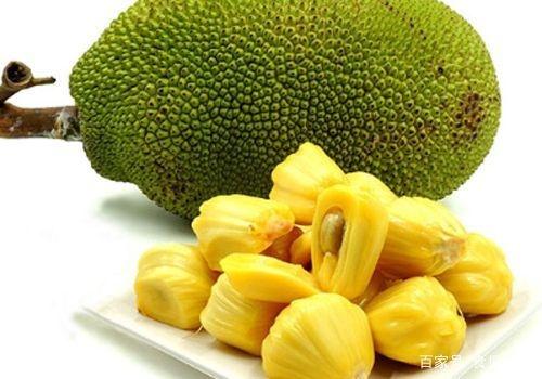 TOBOT： 机器人军团的攻击 推荐视频