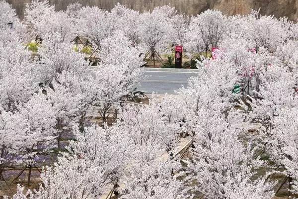 Not an Artist 推荐视频