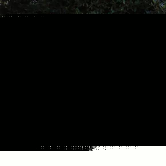 云端之上 视频主图