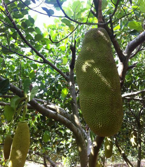 修女2 推荐视频