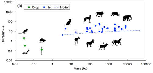 一念天堂 视频主图