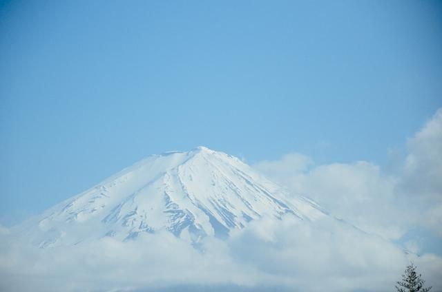 夏小姐的先婚后爱 推荐视频