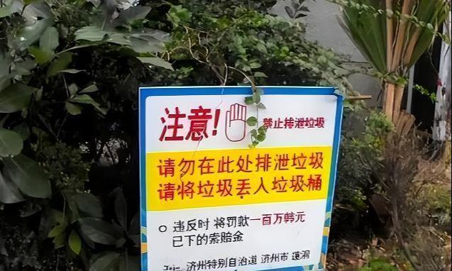 修仙传之炼剑 推荐视频