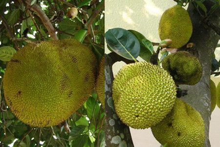 偶滴神啊 推荐视频