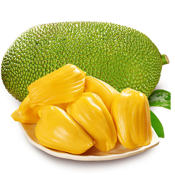 他们叫我吉克 推荐视频