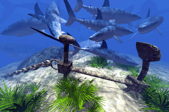 壮志雄心 推荐视频