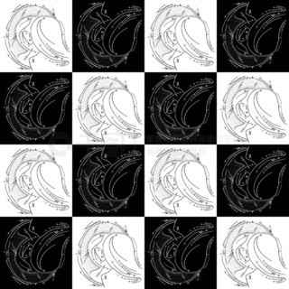 五星级恋人 推荐视频